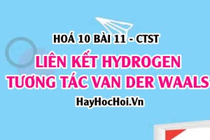 Liên kết Hydrogen là gì? Tương tác Van Der Waals là gì? Vai trò và ảnh hưởng của liên kết Hydrogen, tương tác Van der waals - Hoá 10 bài 11 CTST